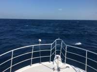 Great day of scuba diving in Key Largo with Rainbow Reef on spiegel grove tropical legend 2016 11 17 r3516 1