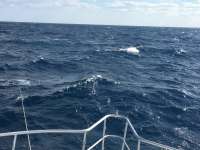 Great day of scuba diving in Key Largo with Rainbow Reef on spiegel grove tropical odyssey 2016 11 18 r3521 1