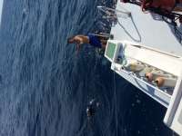 Great day of scuba diving in Key Largo with Rainbow Reef on uscgc duane tropical odyssey 2016 11 19 r3525 1