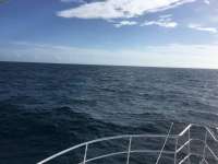 Great day of scuba diving in Key Largo with Rainbow Reef on benwood wreck tropical legend 2016 10 02 r3378 1