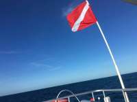 Great day of scuba diving in Key Largo with Rainbow Reef on benwood wreck tropical legend 2016 10 09 r3395 1