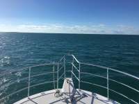 Great day of scuba diving in Key Largo with Rainbow Reef on benwood wreck tropical legend 2016 10 21 r3433 1