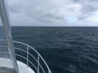Great day of scuba diving in Key Largo with Rainbow Reef on benwood wreck tropical legend 2016 10 31 r3451 1