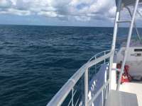 Great day of scuba diving in Key Largo with Rainbow Reef on christmastree cave tropical legend 2016 10 18 r3423 1