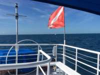 Great day of scuba diving in Key Largo with Rainbow Reef on drift molasses tropical adventure 2016 10 09 r3396 1