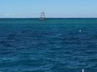 Great day of scuba diving in Key Largo with Rainbow Reef on eagle ray alley tropical odyssey 2016 10 21 r3432 1
