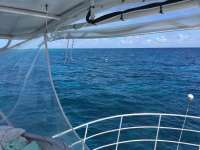 Great day of scuba diving in Key Largo with Rainbow Reef on fire coral cave tropical odyssey 2016 10 04 r3388 1