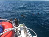 Great day of scuba diving in Key Largo with Rainbow Reef on french deep tropical legend 2016 10 16 r3418 1