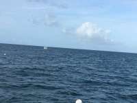 Great day of scuba diving in Key Largo with Rainbow Reef on hole in the wall tropical legend 2016 10 08 r3390 1