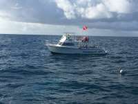 Great day of scuba diving in Key Largo with Rainbow Reef on molasses reef tropical adventure 2016 10 16 r3416 1