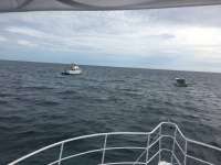 Great day of scuba diving in Key Largo with Rainbow Reef on molasses reef tropical legend 2016 10 01 r3371 1
