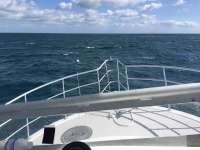 Great day of scuba diving in Key Largo with Rainbow Reef on molasses reef tropical legend 2016 10 10 r3403 1