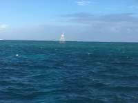 Great day of scuba diving in Key Largo with Rainbow Reef on molasses reef tropical legend 2016 10 12 r3405 1