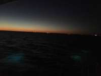 Great day of scuba diving in Key Largo with Rainbow Reef on molasses reef tropical legend 2016 10 22 r3438 1