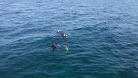Great day of scuba diving in Key Largo with Rainbow Reef on molasses reef tropical odyssey 2016 10 08 r3393 1