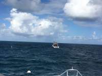 Great day of scuba diving in Key Largo with Rainbow Reef on molasses reef tropical odyssey 2016 10 18 r3424 1
