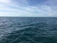 Great day of scuba diving in Key Largo with Rainbow Reef on snapper ledge tropical legend 2016 10 08 r3394 1