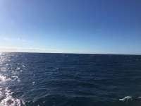 Great day of scuba diving in Key Largo with Rainbow Reef on spiegel grove tropical adventure 2016 10 23 r3440 1