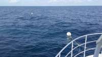 Great day of scuba diving in Key Largo with Rainbow Reef on spiegel grove tropical odyssey 2016 10 08 r3392 1