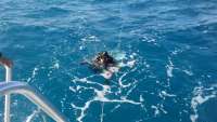Great day of scuba diving in Key Largo with Rainbow Reef on spiegel grove tropical odyssey 2016 10 15 r3412 1