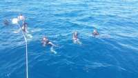 Great day of scuba diving in Key Largo with Rainbow Reef on spiegel grove tropical voyager 2016 10 22 r3437 1
