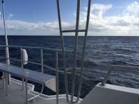Great day of scuba diving in Key Largo with Rainbow Reef on uscgc duane tropical odyssey 2016 10 03 r3381 1