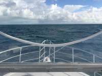 Great day of scuba diving in Key Largo with Rainbow Reef on winch hole tropical legend 2016 10 31 r3450 1