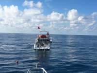 Great day of scuba diving in Key Largo with Rainbow Reef on benwood wreck tropical adventure 2016 09 18 r3305 1