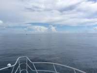 Great day of scuba diving in Key Largo with Rainbow Reef on benwood wreck tropical adventure 2016 09 24 r3340 1