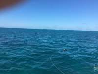 Great day of scuba diving in Key Largo with Rainbow Reef on benwood wreck tropical voyager 2016 09 04 r3232 1