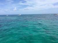 Great day of scuba diving in Key Largo with Rainbow Reef on christ statue tropical odyssey 2016 09 05 r3239 1