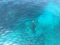 Great day of scuba diving in Key Largo with Rainbow Reef on christ statue tropical odyssey 2016 09 12 r3275 1