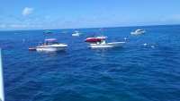 Great day of scuba diving in Key Largo with Rainbow Reef on christ statue tropical odyssey 2016 09 17 r3303 1