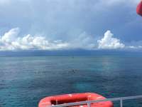 Great day of scuba diving in Key Largo with Rainbow Reef on christ statue tropical odyssey 2016 09 22 r3328 1