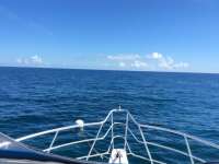 Great day of scuba diving in Key Largo with Rainbow Reef on christmastree cave tropical adventure 2016 09 15 r3290 1