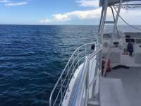 Great day of scuba diving in Key Largo with Rainbow Reef on christmastree cave tropical odyssey 2016 09 25 r3347 1