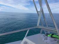 Great day of scuba diving in Key Largo with Rainbow Reef on city of washington tropical legend 2016 09 20 r3320 1
