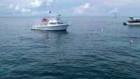 Great day of scuba diving in Key Largo with Rainbow Reef on drift molasses tropical odyssey 2016 09 23 r3337 1