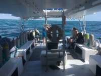 Great day of scuba diving in Key Largo with Rainbow Reef on eagle ray alley tropical adventure 2016 09 03 r3223 1