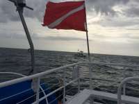 Great day of scuba diving in Key Largo with Rainbow Reef on eagle ray alley tropical legend 2016 09 03 r3221 1