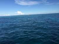 Great day of scuba diving in Key Largo with Rainbow Reef on eagle ray alley tropical legend 2016 09 19 r3310 1
