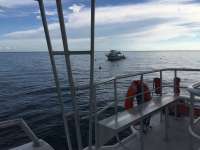 Great day of scuba diving in Key Largo with Rainbow Reef on eagle ray alley tropical legend 2016 09 23 r3330 1