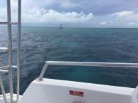 Great day of scuba diving in Key Largo with Rainbow Reef on eagle ray alley tropical odyssey 2016 09 25 r3349 1