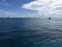 Great day of scuba diving in Key Largo with Rainbow Reef on fire coral cave tropical legend 2016 09 17 r3298 1