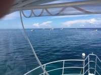 Great day of scuba diving in Key Largo with Rainbow Reef on fire coral cave tropical legend 2016 09 23 r3336 1
