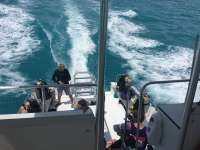 Great day of scuba diving in Key Largo with Rainbow Reef on fire coral cave tropical voyager 2016 09 10 r3264 1