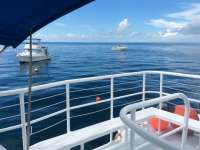 Great day of scuba diving in Key Largo with Rainbow Reef on french reef tropical adventure 2016 09 24 r3342 1