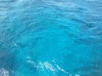 Great day of scuba diving in Key Largo with Rainbow Reef on french reef tropical legend 2016 09 07 r3247 1