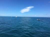 Great day of scuba diving in Key Largo with Rainbow Reef on french reef tropical legend 2016 09 16 r3294 1