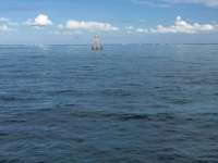 Great day of scuba diving in Key Largo with Rainbow Reef on hole in the wall tropical legend 2016 09 20 r3315 1